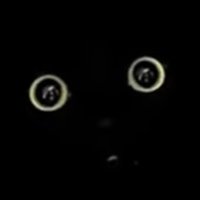 궁둥이빌런 (@daehyeonttu) 's Twitter Profile