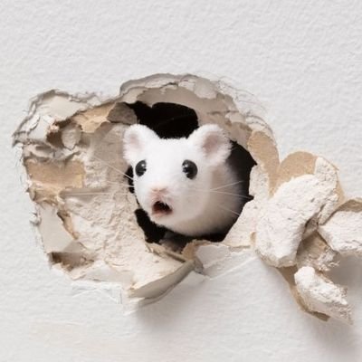 llggyy214's profile picture. 구)옥천당 / 한식디저트는 잠시 휴업중. 언젠가 다시 할 겁니다🥲