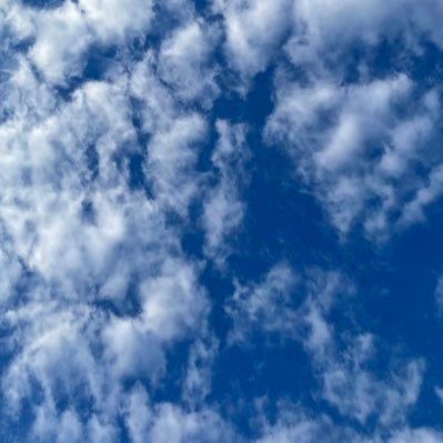 SevenLen's profile picture. 身处娑婆，心向虚空