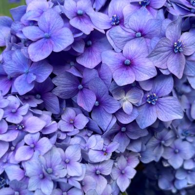 Dreamer76Day's profile picture. 🌻