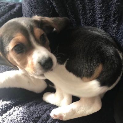 UKstocker_'s profile picture. 