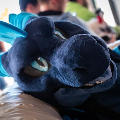 Cube 🧊 | Dragon | 24M | FR/ENG | Fursuiter | VAL system specialist