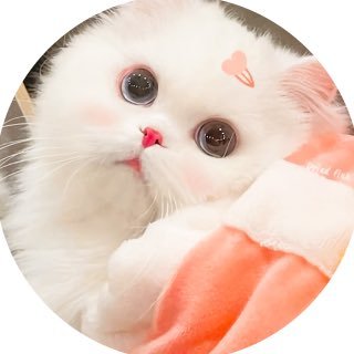 lotekituenak's profile picture. backup acc