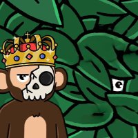 The Moonkys (@moonkysnft) 's Twitter Profile Photo The Moonkys (@moonkysnft) 's Twitter Profile Photo