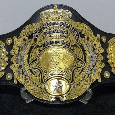 We are pleased to welcome you to the website of WCBelts, a reputable manufacturer of championship belts. World championship belts are referred to as WCBelts.