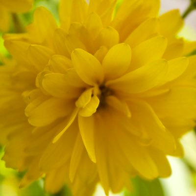 metamorfina850's profile picture. 