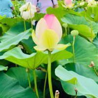 Annys Shin (@annysedits) 's Twitter Profile