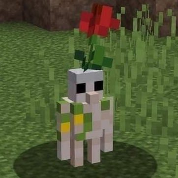 ikeepwalkin__'s profile picture. กุพุดไปเรื่อย อย่าอินตาม