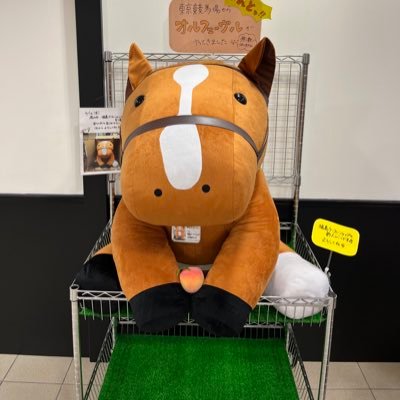 neko05051's profile picture. 公認会計士