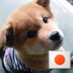 nao (@naob01) Twitter profile photo