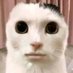 yadung (@ya_duung) Twitter profile photo yadung (@ya_duung) Twitter profile photo