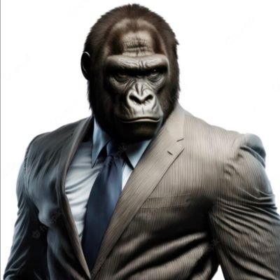 TheBaDonkeyKong Profile Picture