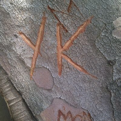 joedaily1203's profile picture. Take it easy, if it's easy take it home