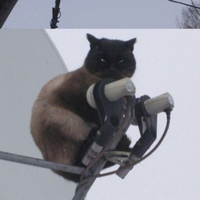 LukaBLukaB's profile picture. Mitte 30, männlich, Auf der Suche nach Erfahrungen und Wissen. Hasse toxische Männlichkeit.