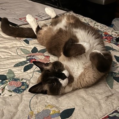 DrakeDrake90586's profile picture. “I wish I knew what I know now when I was younger.” Constitutionalist, for limited social & fiscal government. Cogito Ergo Sum. Acta non Verba. #NewFederalist