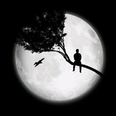 Appu211504's profile picture. 