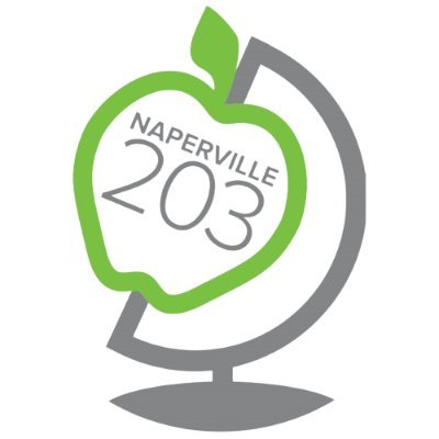 Naperville 203 Profile