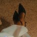 Alexis (@alexis55905088) Twitter profile photo Alexis (@alexis55905088) Twitter profile photo