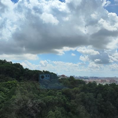 tian_ruiqi94920's profile picture. 