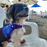Jader Sanchez (@jader_sanchez) 's Twitter Profile