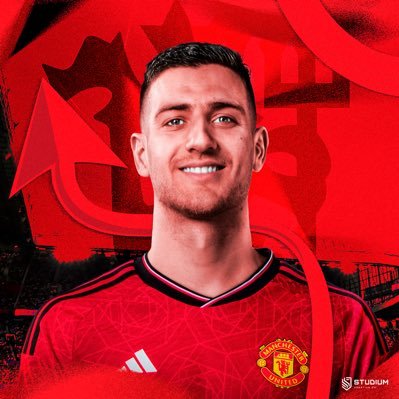 Diogo Dalot Profile