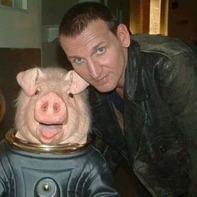 OliLinklater's profile picture. Rest in peace Space Pig you were taken too soon we miss you pal