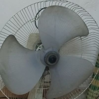 safeek Profile