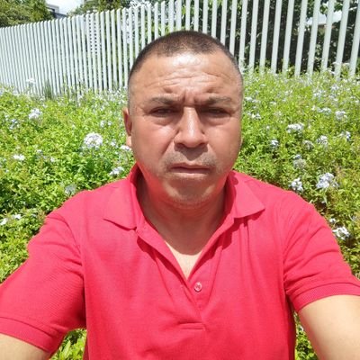 ServellonM75208's profile picture. 