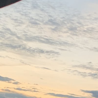xzbiot's profile picture. 
