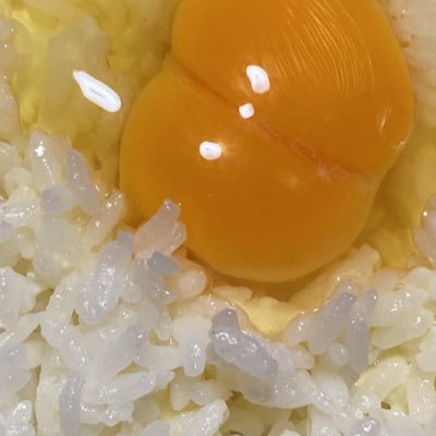 ぽんぽこ
