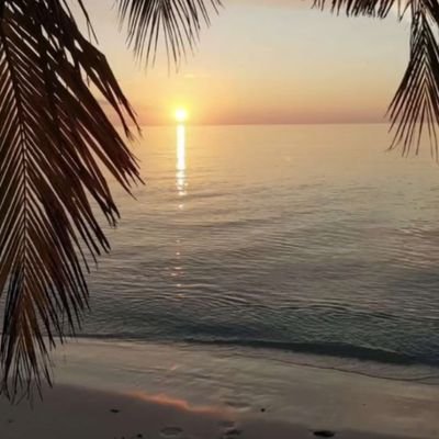 Gros23355585's profile picture. 