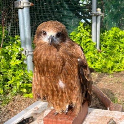 これまでの方も、これからの方もどうぞ宜しくお願いします✨