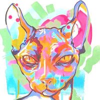 Sofia Lee (@sofialeevnf) 's Twitter Profile