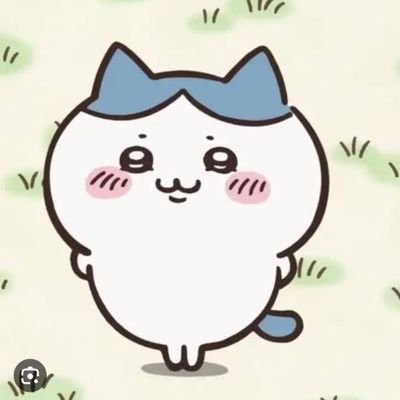 2022年8月からツイッターを始めました😆
たくさんの素敵なフォロワーさん繋がることができ毎日楽しいモンストライフを送ってます😍
モンスト垢には無言フォローいいねしますのでご了承下さいく(`・ω・´)ビシッ