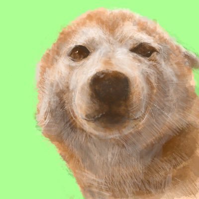Kojiro0905's profile picture. 愛犬こじくん(2021.3.3)お空へ🌈 /PUBGmエンジョイ勢🔫 /ドライブ🚗³₃旅行好きです✨