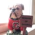 College Football Casual (@cfb_1999) Twitter profile photo College Football Casual (@cfb_1999) Twitter profile photo
