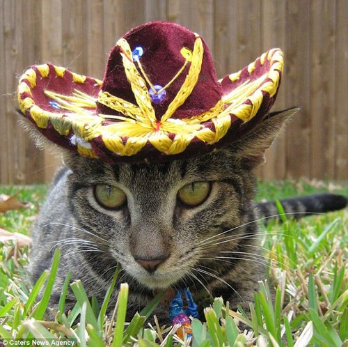 tynesbay's profile picture. None