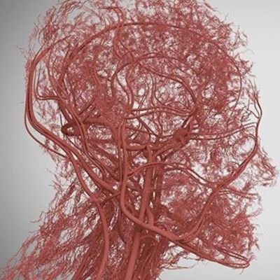 chuchusimplybe's profile picture. 