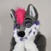 Touka Husky (@toukahusky) Twitter profile photo Touka Husky (@toukahusky) Twitter profile photo