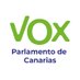 Grupo Parlamentario de VOX en Canarias (@P_CanariasVOX) Twitter profile photo