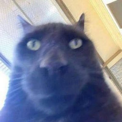 CcOmaOzKi31's profile picture.