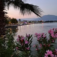 hayriye hazer (@eframesya) 's Twitter Profile