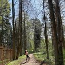 Andrea Snook - @marilyn_be18173 - Twitter