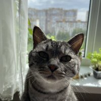 Daddddys ❤️ Memecoin (@hhhhyuhjffh) 's Twitter Profile