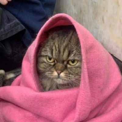 caveua's profile picture. Русофоб. Українофіл.