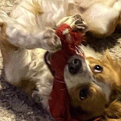 treemother32987's profile picture. 