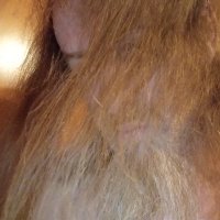 Holzkopp freds (@fredsholzkopp) 's Twitter Profile