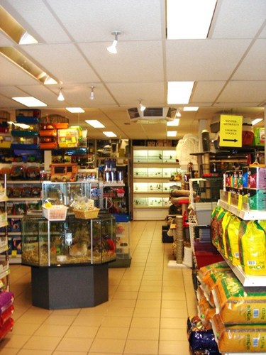 Alles voor uw huisdieren, hengelsport en duivensport.