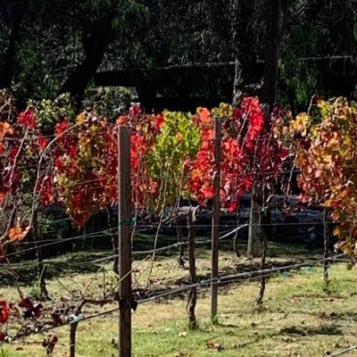 JustMe62680121's profile picture. One day at a time. No DM’s