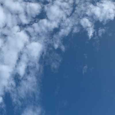 ayapan240137176's profile picture. 遅ればせながら、Xを始めました😊最近、投資をはじめました🔰勉強させていただきます！色々教えてください🌸 無言フォロー失礼しますm(__)m💦 積立NISA、日本株🇯🇵、米国株🇺🇸運用勉強中です。